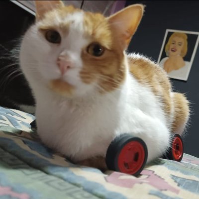 hasanmtasnimul's profile picture. 