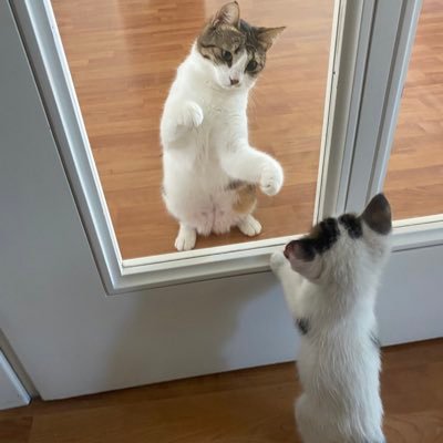 MuratSaydam's profile picture. 