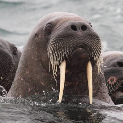 Dorthy512152's profile picture. 