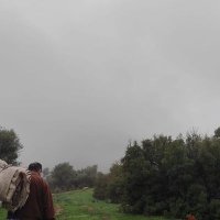 Ruzgar (@r_z_g_r) 's Twitter Profile