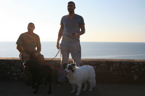 aufc44lion's profile picture. just a working dude