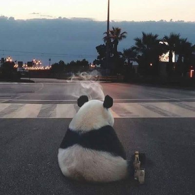 Yuilio6's profile picture. tattoo havin burger flippin gay guy