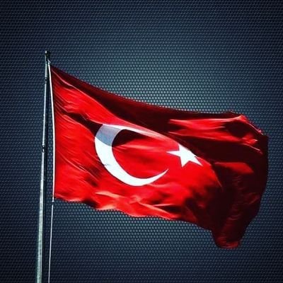 MehmetZahid99's profile picture. 