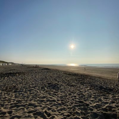 Fleurke_'s profile picture. 💜🤍