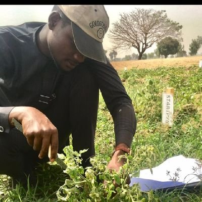 Muslim, #tea and #soil enthusiast, #kassosite, B.Agric_soil science(UDUSOK), PGDE (AKCIL), pedologist in a making, #Climate change, #SDGs backyard farmer š©āš¾