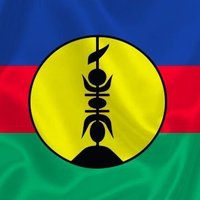Solidarité Kanaky (@sol_kanaky) 's Twitter Profile