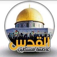 الشاعر ابوامجدالمليكي بديل (@aboamjad412007) 's Twitter Profile