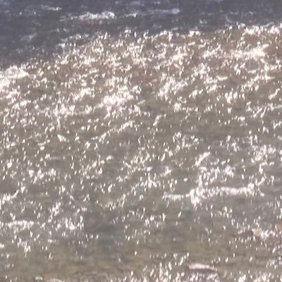 kg59zv44wt's profile picture. 