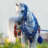 وليد الأموي (@lmwy18024) 's Twitter Profile