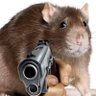 joey_da_rat's profile picture. Cowboy from the Sprawl • 👁 • Suburban brown rat