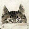 tlg_ge's profile picture. Into all possibilities on chains..