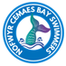 Cemaes Bay Swimmers Nofwyr (@CBSAngleseySwim) Twitter profile photo