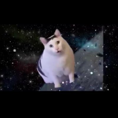カラミテぃさんのプロフィール画像