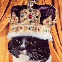 TopHunkUSA (@americastophunk) 's Twitter Profile Photo TopHunkUSA (@americastophunk) 's Twitter Profile Photo