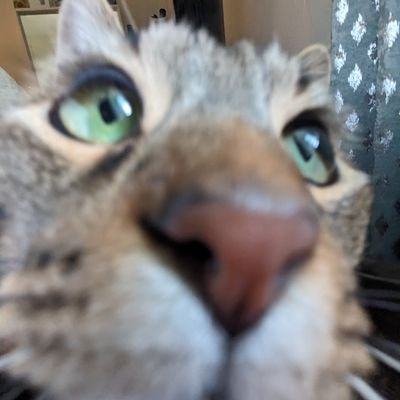 shakingnmyboots's profile picture. “you got me shaking in my panties” 🩲
two first names means twice the personality so buckle up