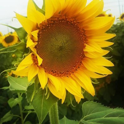 Kaka79998's profile picture. โสด ลูก 2 😊😊