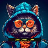 Shitcoin Gems | Presale Calls(@ShitcoinGem) 's Twitter Profile Photo