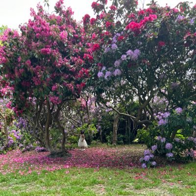 MissManzana's profile picture. Divinely protected 🌸♓️