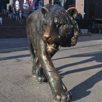 Travelling around! (@trav3laround20) 's Twitter Profile