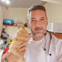 Paulo Henrique (@phlimavet) 's Twitter Profile
