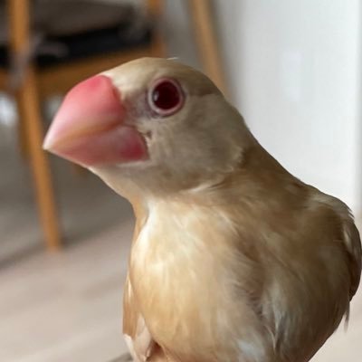 katariiiiin's profile picture. やったー