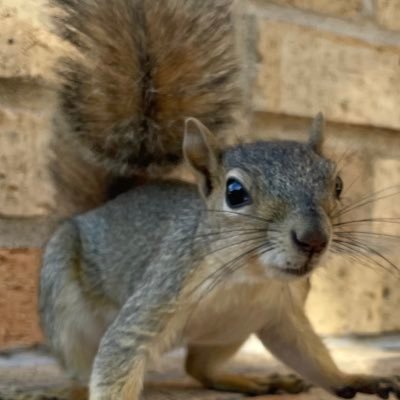 ericchen890's profile picture. 17 | building pane - the levels fyi of college apps