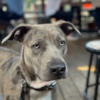 NoVa T (@nft5mith) 's Twitter Profile
