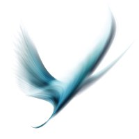 Eleos Justice (@eleosjustice) 's Twitter Profile