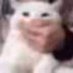 lauren:3 (@snuggly4ngel) Twitter profile photo lauren:3 (@snuggly4ngel) Twitter profile photo