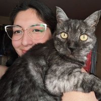 Laura Herbas (@shirokumal) 's Twitter Profile