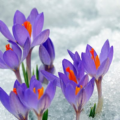 AnnieMcnei41751's profile picture. What it says on the tin. Trying to figure out some stuff. Say ‘get lost kid’ if you wanna