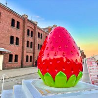 𝑯𝒊𝒓𝒐𝒌𝒊🍓👑 (@kingmon_hi_124) 's Twitter Profile Photo