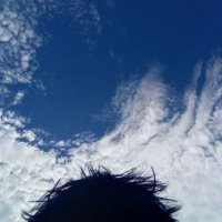 Supri | 𝔽rAI (@supri985) 's Twitter Profile