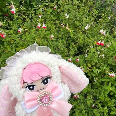 レイラ☆プロフ必読☆様♡ありがとうございます♡ レイラ☆プロフ必読☆様♡ありがとうございます♡ レイラ⚡🌶´- (@