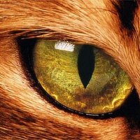 S_Guy (@sguy113) 's Twitter Profile