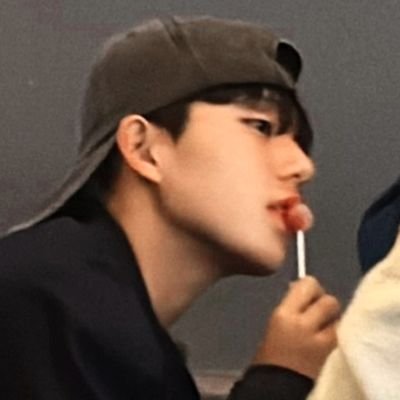 전유경⁷ 애호가