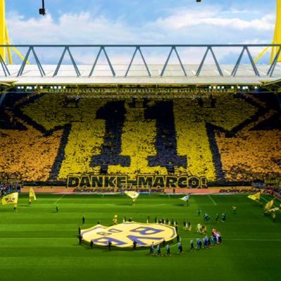 ryo_tais's profile picture. 🏫 🏐🏐🏐 BLUE ENCOUNT🔥 / go!go!vanillas🍨▷▷▷@mmch1212 / ドルトムント@BVB 🇩🇪MR11 efDiv1