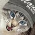 Geno-Pilled Social Club (@puffin_time) Twitter profile photo Geno-Pilled Social Club (@puffin_time) Twitter profile photo