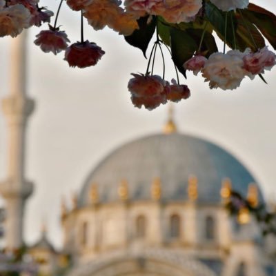 وإن رحلت يوماً فذكروني بدعوة.
