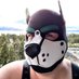 The foreskin prince 👑🏳️🌈 (@foreskindemon) Twitter profile photo The foreskin prince 👑🏳️🌈 (@foreskindemon) Twitter profile photo