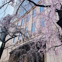 共立女子大学 家政学部 食物栄養学科 (@kyoritsu_food) Twitter profile photo