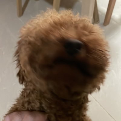 M0826Ti's profile picture. 沒有特別