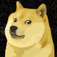BrighterĐoge🐾 (@brighterdoge) 's Twitter Profile