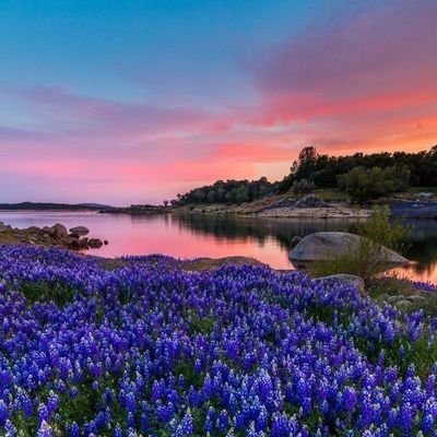 JedaJjk's profile picture. 