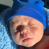 Josh (@jdrrdl) 's Twitter Profile