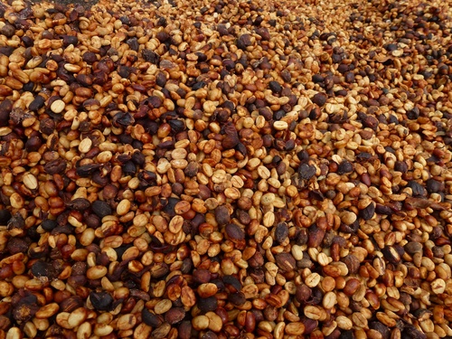 blarista's profile picture. 