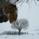 tsubasa_seiko's profile picture. Hi world! (^.~) I'll tell you my thoughts & show you my likes /whispers come talk to me about fandoms (☆.☆) anime, kpop, Critical Role, VLD, SPN, Jesus, etc etc