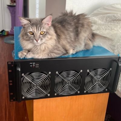 BeckahCoin2021's profile picture. i’m a IT Entrepreneur  & the CEO & Founder of the IT Startup BeckahCoin GPU Services.
