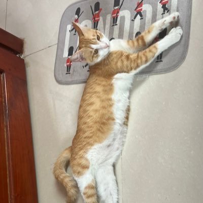 richardnguyen03's profile picture. Whale 2000$👉2M$