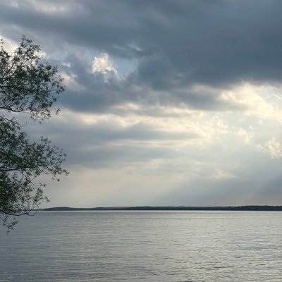 FreedomRaha's profile picture. Woman life freedom.                          زن زندگی آزادی